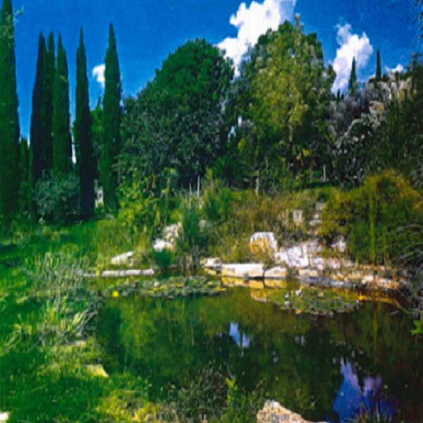 Offres de vente Bastide Le Castellet 83330